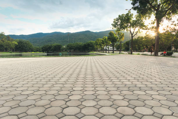 Best Residential Paver Driveway  in Troup, TX